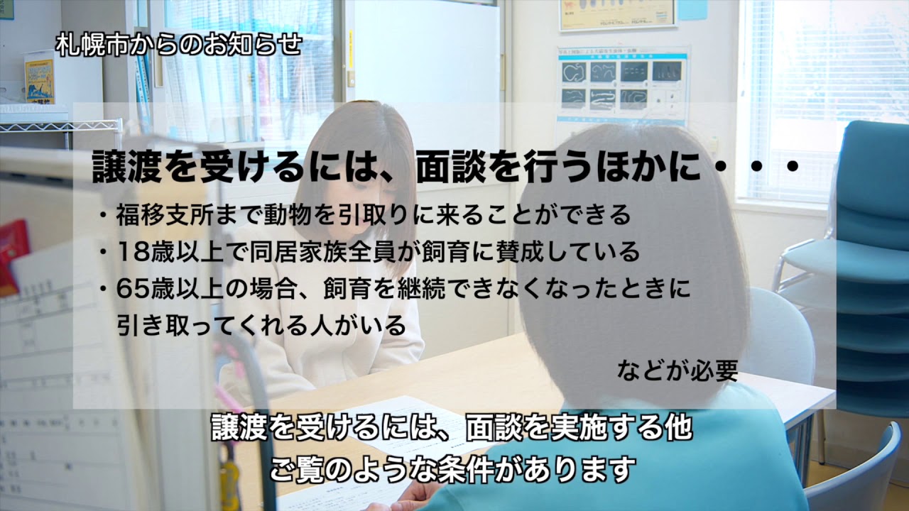 【市政情報】譲渡可能犬猫／30秒